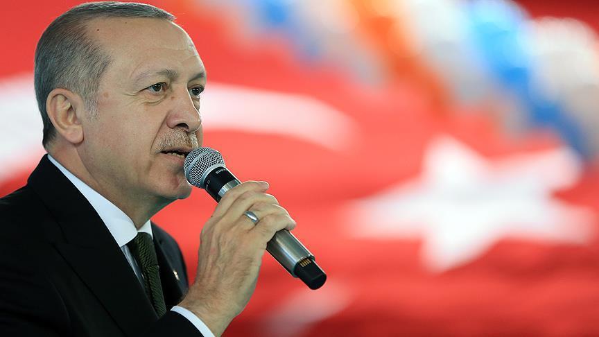Erdogan: Turkey 'world leader' in fight against erosion