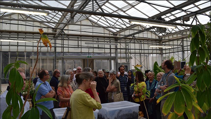 "حديقة القرآن النباتية" بقطر.. الأولى من نوعها في العالم (تقرير) 