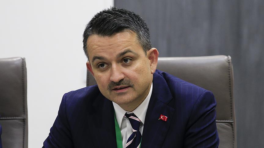Tarım ve Orman Bakanı Pakdemirli: Önümüzdeki 4-5 ay ette ithallik durum görmüyorum