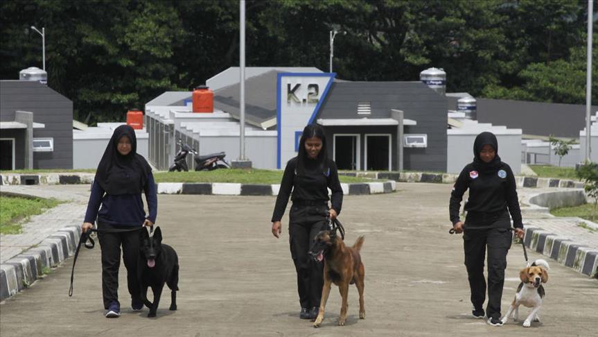 33++ Anjing polisi indonesia download