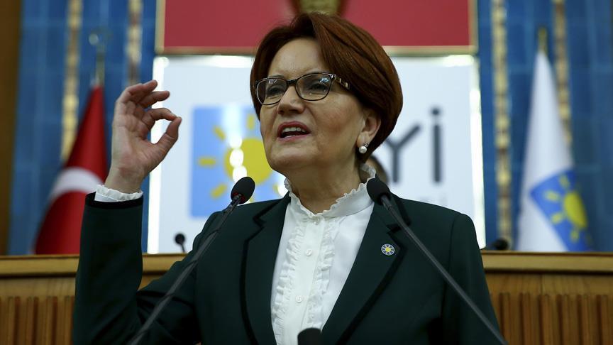 Turkish opposition party to back anti-terror operations