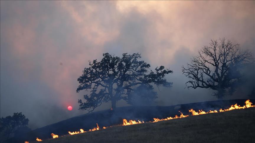 Aumenta a 50 la cifra de muertos por incendios forestales en California