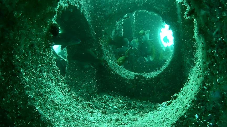 3 milyon liralık 'yapay resif'ler balık popülasyonunu artırdı