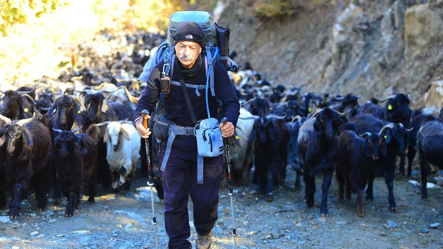 Birlikte yürüdüğü Yörüklerin göç yollarını haritalandırıyor
