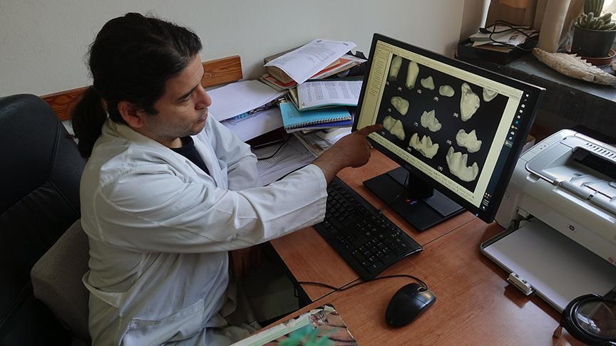 Fossil found in Turkey reveals 20M-year-old predator