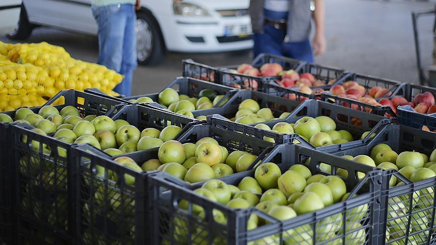 Турецкий экспорт фруктов и овощей в РФ продолжает расти 