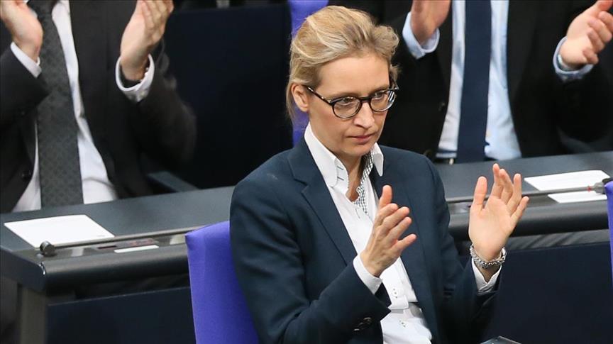 German far-right leader faces investigation