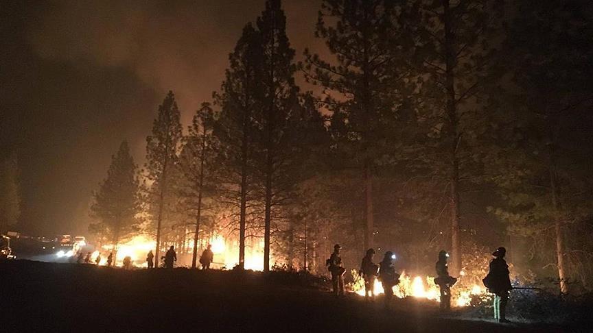 Число жертв лесных пожаров в Калифорнии растет 