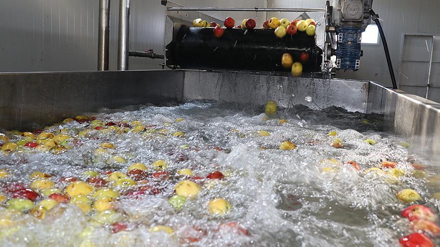Erzincan'dan 3 kıtaya meyve suyu ihracatı