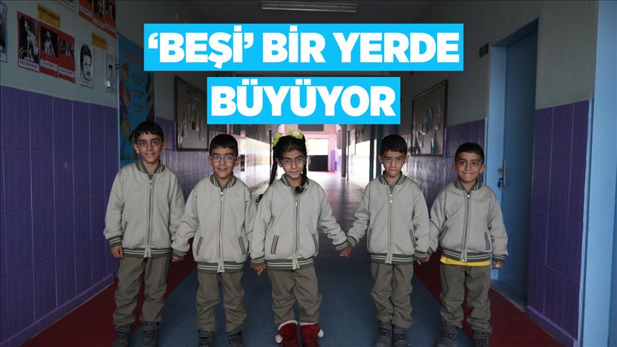 'Beşi' bir yerde büyüyor