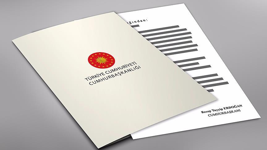 Yurtdışı Türkler ve Akraba Topluluklar Başkan Yardımcılığına atama
