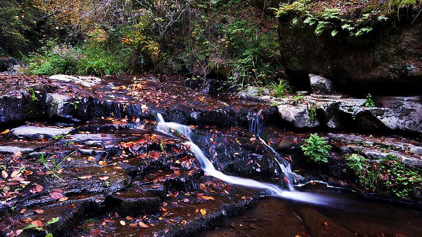 Autumn views of Turkey's Kabaceviz waterfall amaze visitors