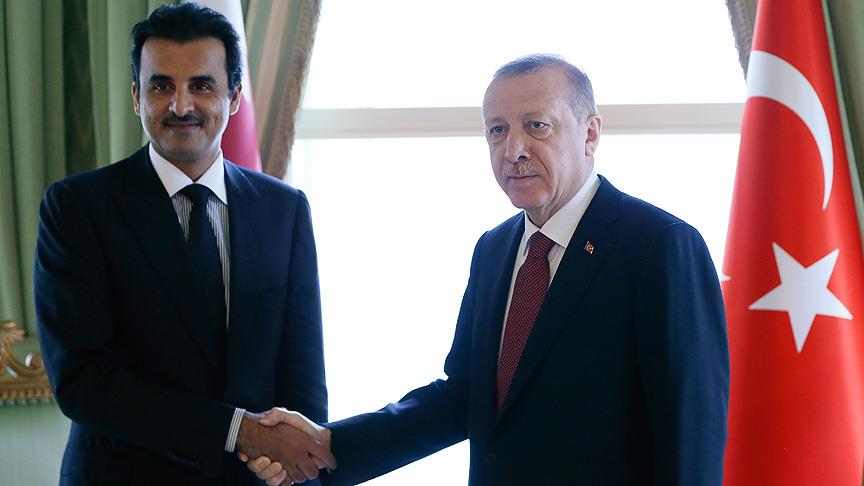 Cumhurbaşkanı Erdoğan ile Al Sani görüştü