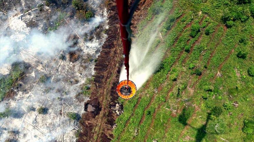 Indonesia kumpulkan peta ekosistem lahan gambut perusahaan baru