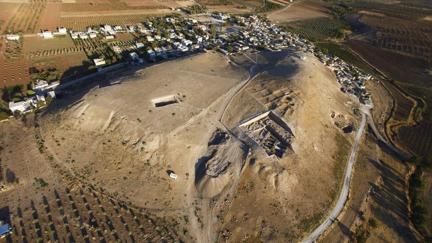 4,000-year-old olive seeds unearthed in SE Turkey