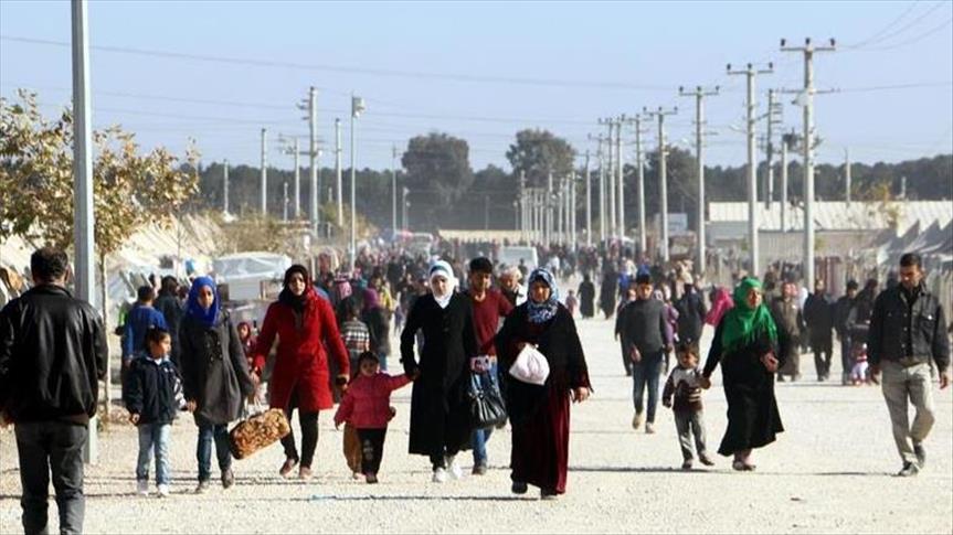 Турция приняла более 3,5 млн сирийских беженцев  