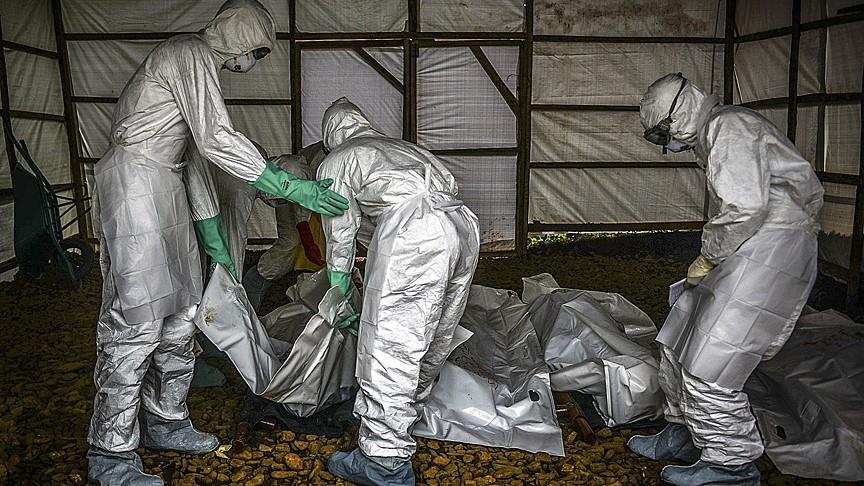 Ebola kills 198 in Democratic Republic of Congo
