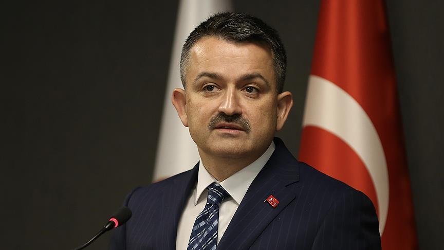 Turkey in close cooperation with Ukraine, says minister