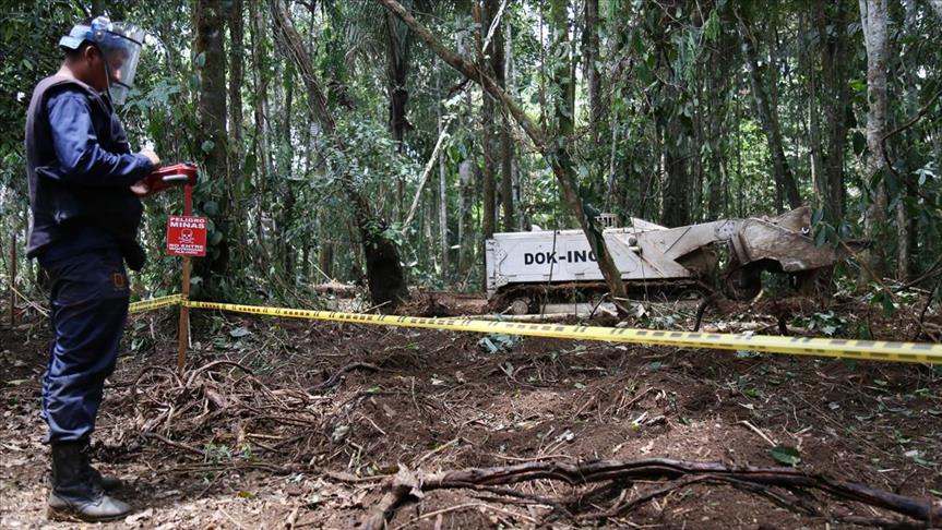 Número de víctimas por minas antipersona en Colombia aumentó un 300% en 2018