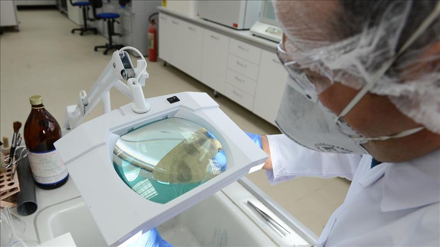 Científicos mexicanos advierten sobre edición genética en humanos