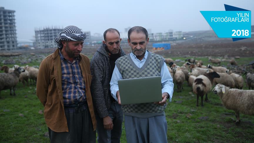 Besici ve çobanlar AA'nın 'Yılın Fotoğrafları'nı oylamasına katıldı