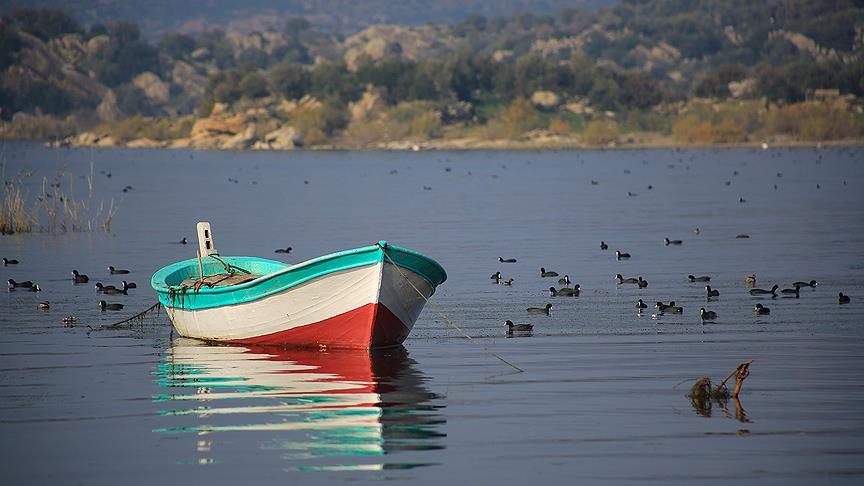 Yağışlarla temizlenen Bafa Gölü nefes almaya başladı