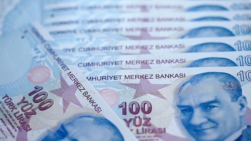 Turkish Treasury posts $800M cash surplus in November