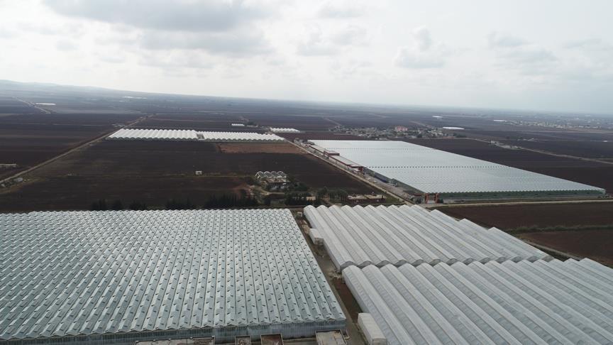 Şanlıurfa'ya 100 milyon dolarlık sera yatırımı