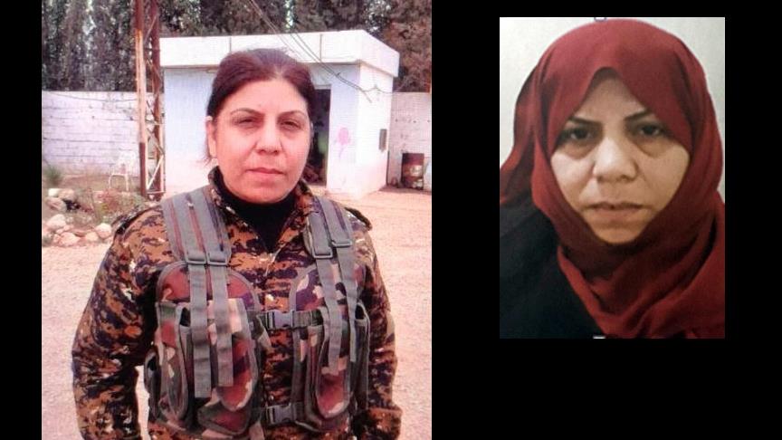 Şanlıurfa'da bir terörist yakalandı