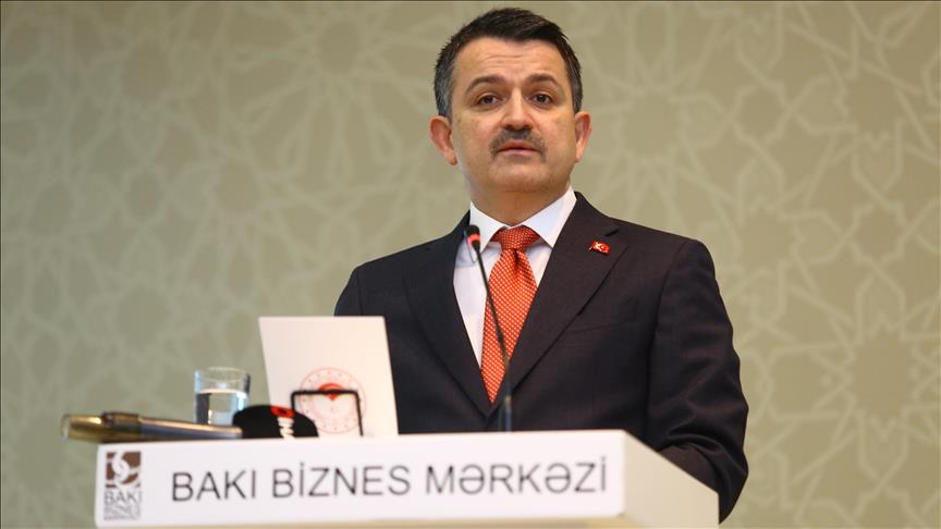 Turquie-Azerbaïdjan : L’Important potentiel des efforts conjoints