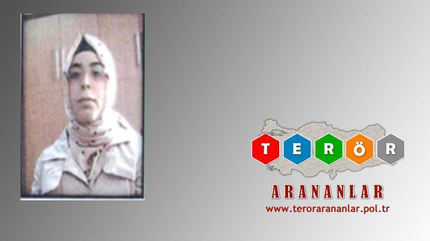 Wanted terrorist surrenders to Turkish security forces