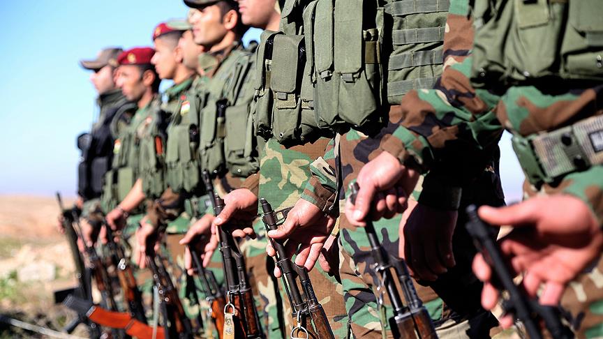 Suriyeli Peşmergelerin YPG'nin yerini alacağı iddiası