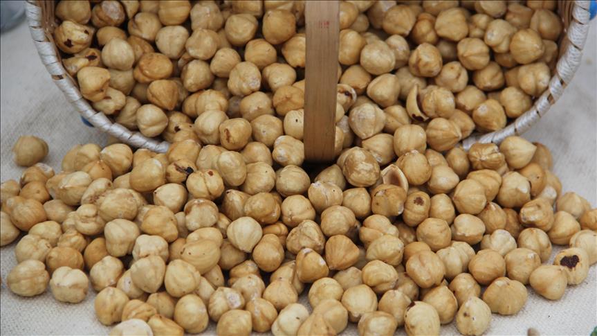 Fındık ihracatından 10 sezonda 18 milyar dolar gelir