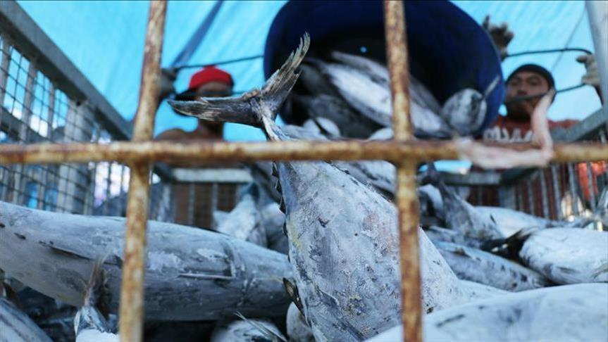 Indonesia: Pidana korporasi kasus ilegal fishing masih rendah