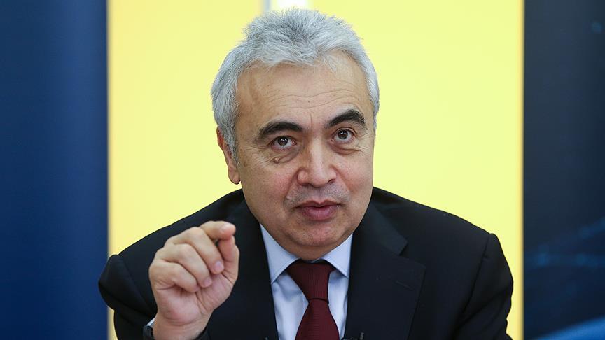 Turkey could export renewables to its region: IEA Head