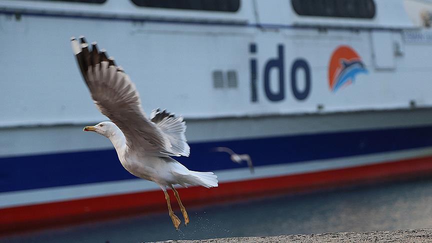İDO ve BUDO'dan sefer iptalleri