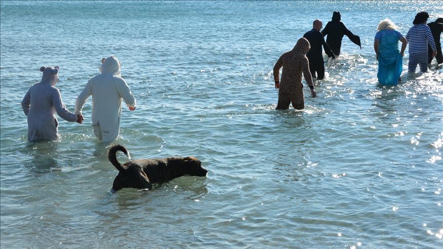 Turkey: Polar bear club helps stray cats and dogs