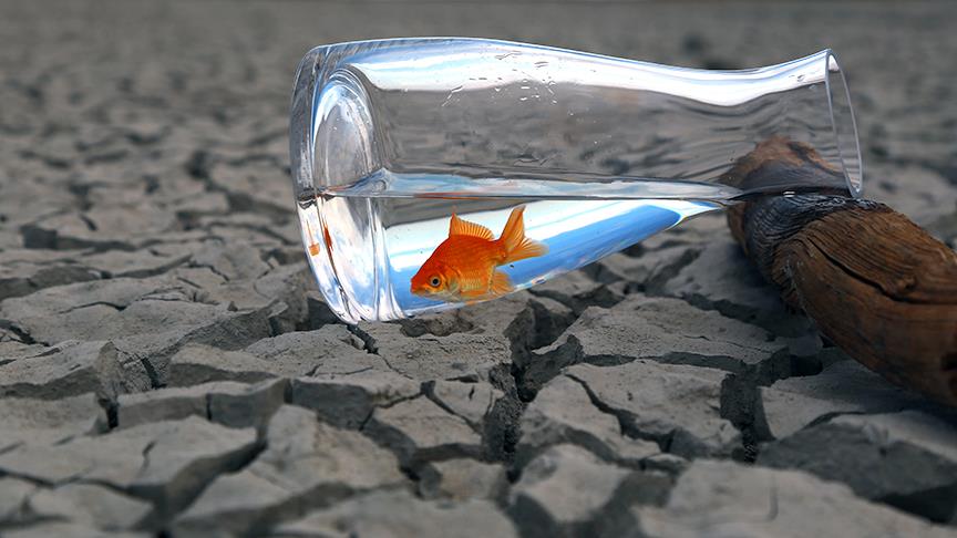 Dünya Çölleşme Mücadele Günü'ne Türkiye ev sahipliği yapacak