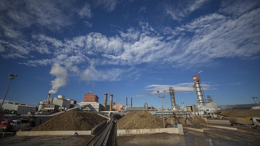 Kayseri'deki şeker fabrikalarından istihdama katkı