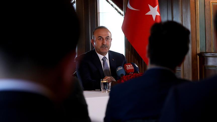 Turkish FM pays 76 diplomatic visits in 2018