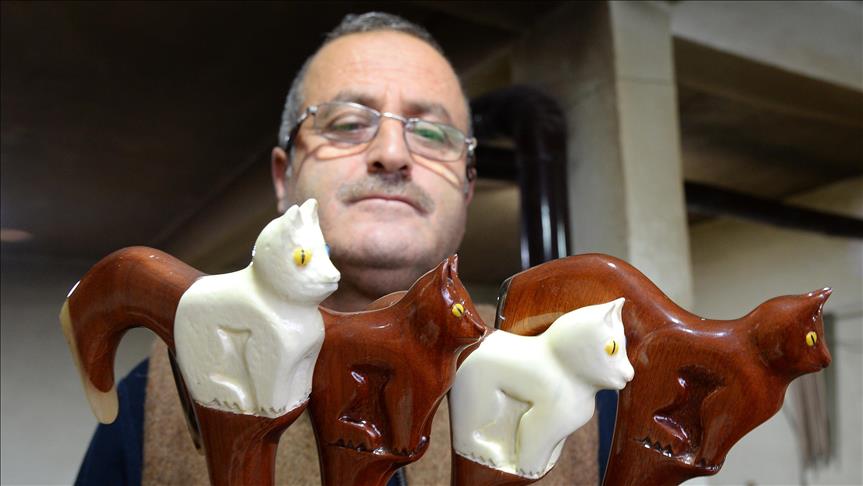 Van kedisini bastona işledi