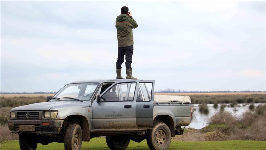 Kuş cennetinde 'ördek katliamı' yapan avcılar aranıyor