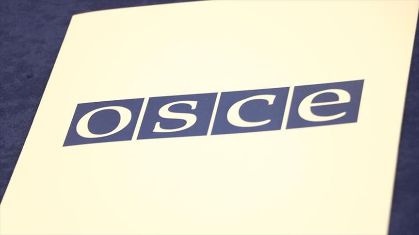 Turkey welcomes appointment of Turk for OSCE executive