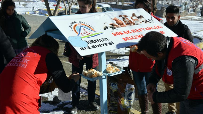 Öğrencilerden sokak ve yaban hayvanlarına şefkat eli