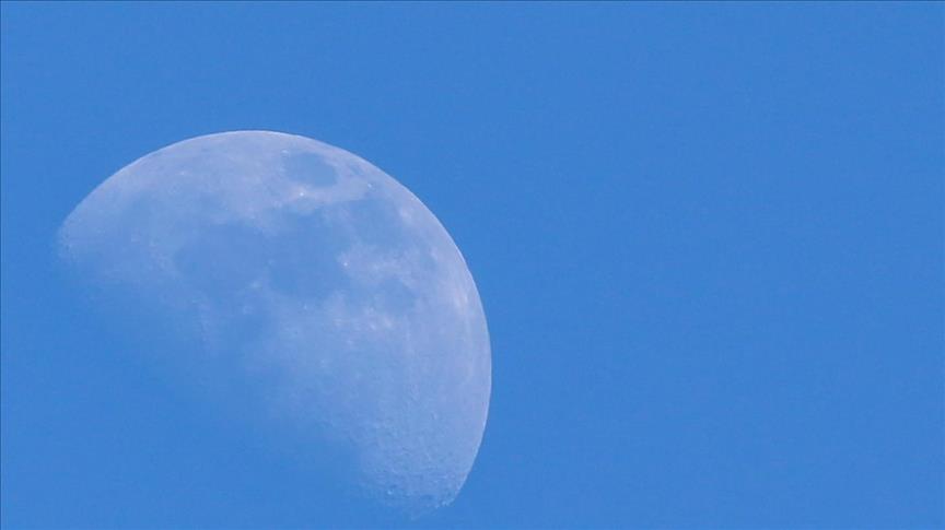 En la Luna creció una semilla de algodón