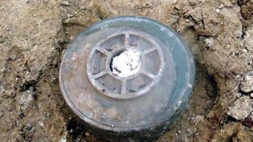 Landmine explosion kills 2 border guards in Iran