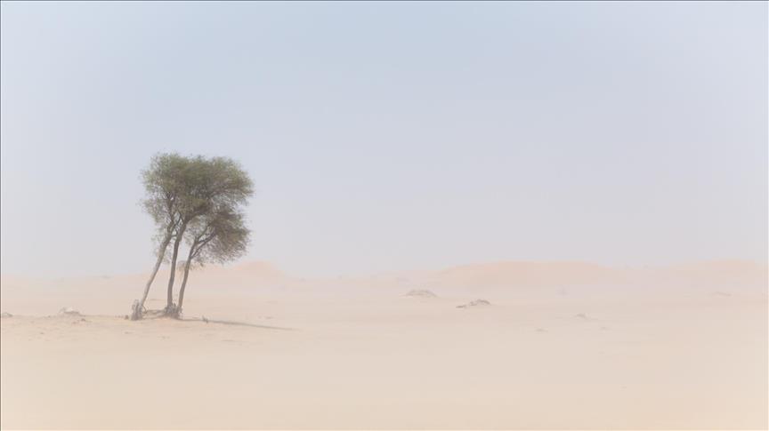 Sandstorm in Egypt leaves at least five people dead