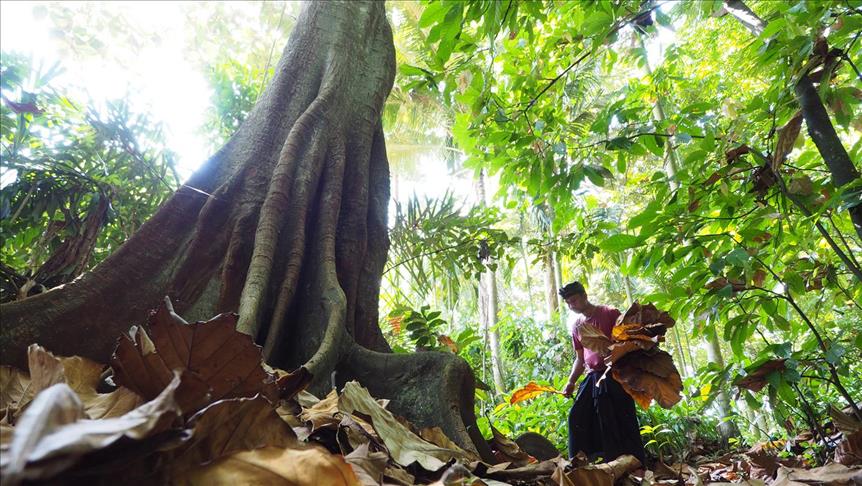 Perkumpulan Huma rekomendasi penetapan hukum hutan adat