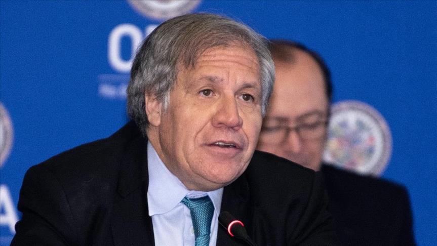 OEA enviará a Bolivia una misión para supervisar las elecciones primarias