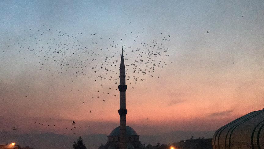 Şanlıurfa semalarına 'güvercin döküldü'